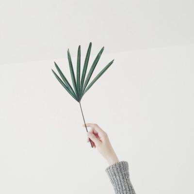 中欧·体育(KOK)中国官方网站